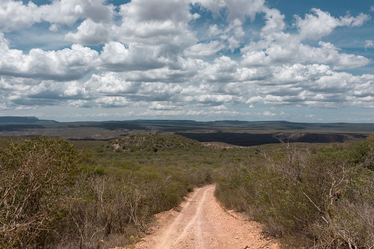 PF cumpre mandados contra extração ilegal no Parque Boqueirão da Onça