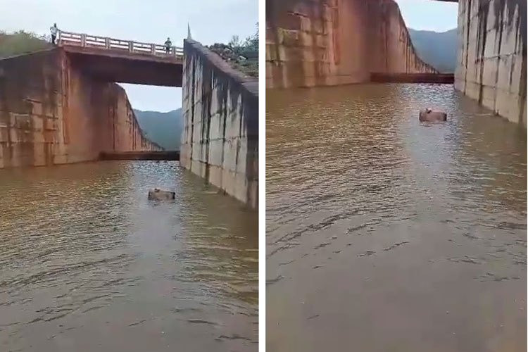 Rio de Contas: Barragem Luiz Vieira atinge 100% de sua capacidade após 14 anos