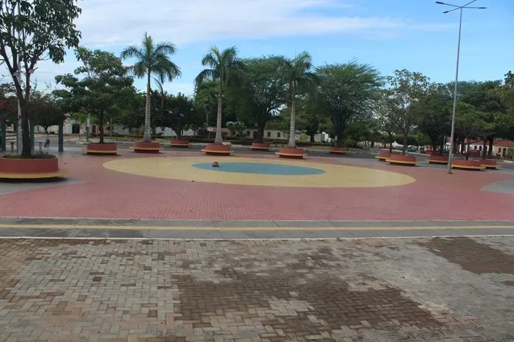 Dom Basílio decreta situação de emergência na zona rural devido à seca