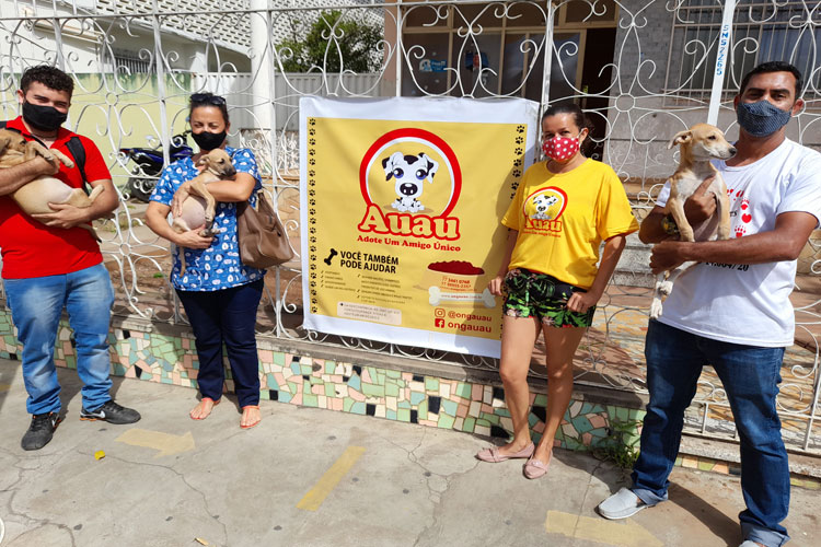 Brumado: ONG AuAu promove feira de adoção de cães de rua e arrecada fundos para canil próprio