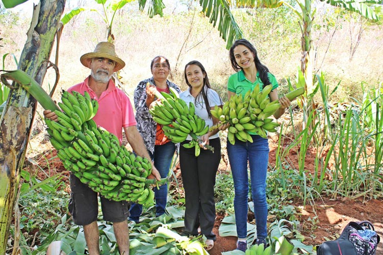 Programa de aquisição de alimentos ajuda reduzir impactos da pandemia em Caetité, Caculé e Ibiassucê