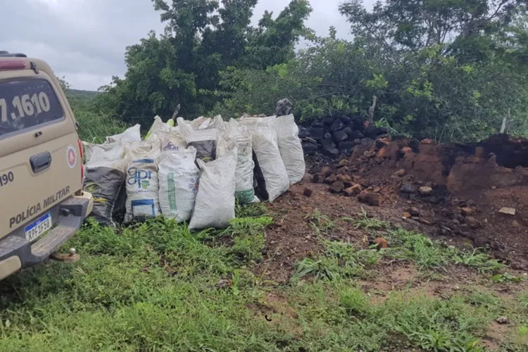 Polícia Ambiental descobre produção ilegal de carvão em Paramirim
