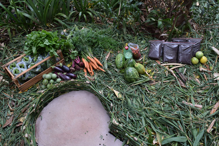 Cresce popularidade dos alimentos da produção orgânica natural em Brumado