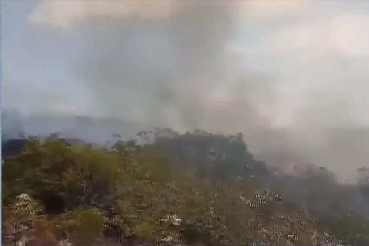 Incêndio atinge 80 hectares de área de vegetação destruindo plantações em Rio de Contas