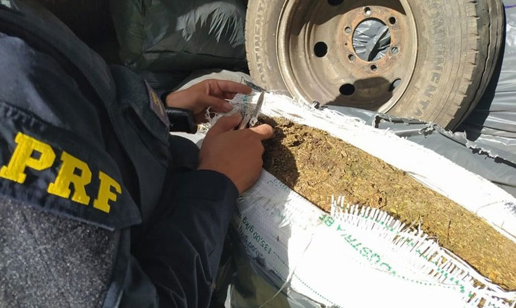 PRF recupera veículo roubado que estava transportando mais de 500 kg de maconha na Bahia