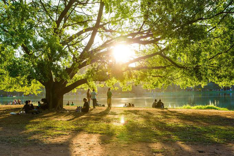 Contato com a natureza melhora a saúde mental, mostra estudo