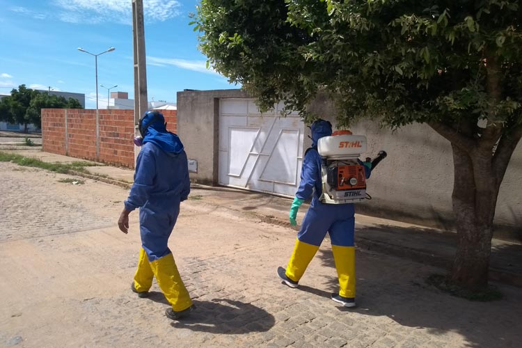 Em uma semana, dobra o número de casos de dengue e Brumado já registra 250 pacientes infectados