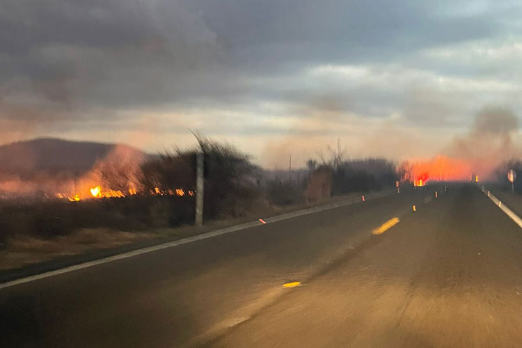 Brumado: Incêndio florestal às margens da BR-030 dificulta trafegabilidade de motoristas
