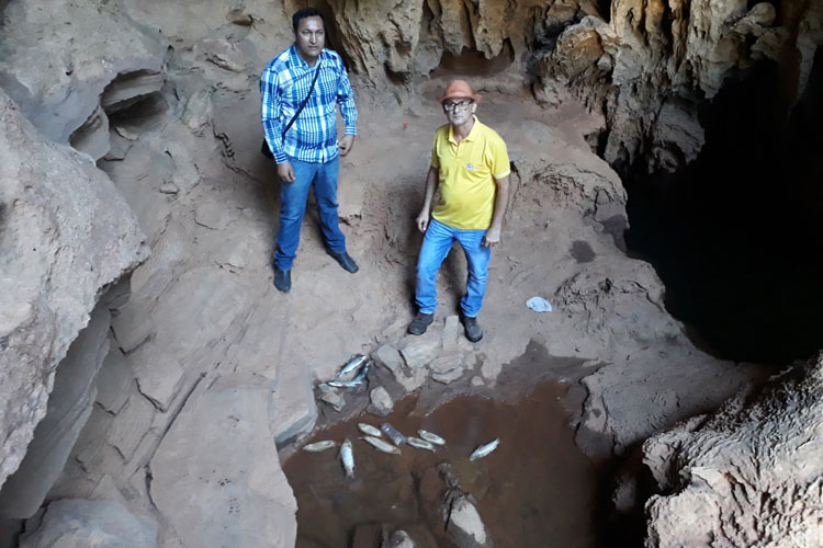 Moradores denunciam crime ambiental na Gruta da Boca da Lapa em Feira da Mata