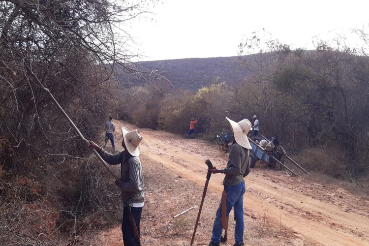 Brumado: Moradores se mobilizam com vaquinha para roçagem e patrolamento de estradas vicinais
