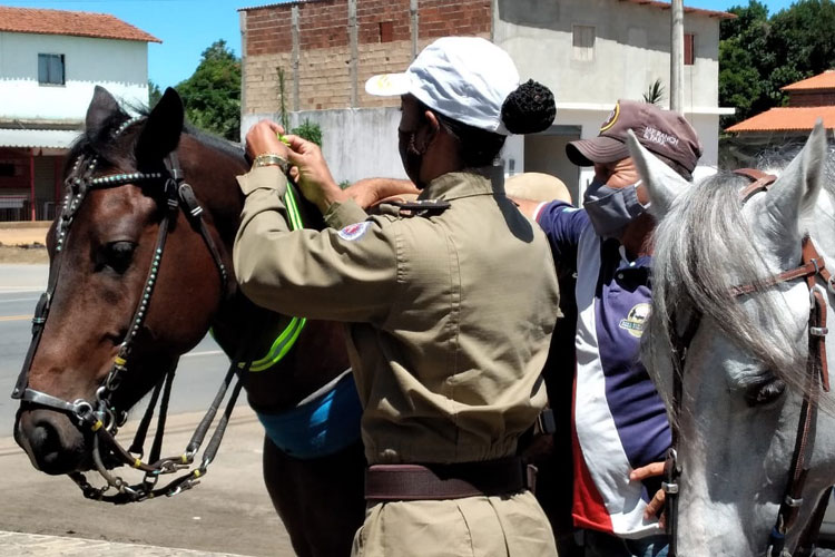 Brumado: Polícia Rodoviária Estadual lança projeto 'Pista não é Pasto'