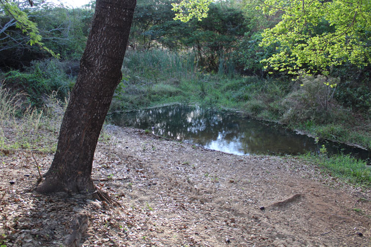 Caculé: Achei Sudoeste registra a história da Barragem do Comocochico e da nascente do Rio do Antônio