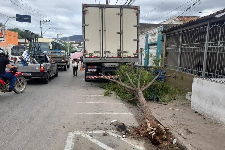 Caminhão desgovernado derruba árvore, colide contra veículos e derruba poste em Brumado