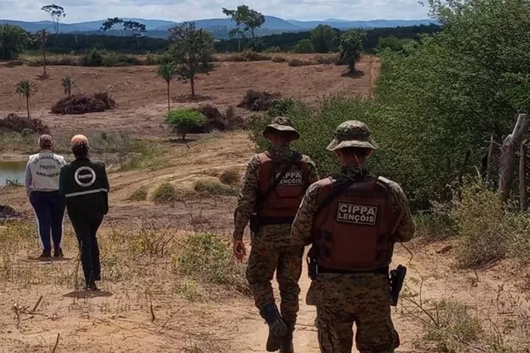 Chapada Diamantina: Cippa participa de operação de fiscalização na Serra do Orobó