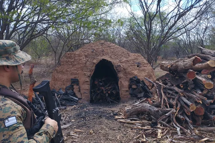 Polícia Ambiental e Inema combatem produção ilegal de carvão em Riacho de Santana