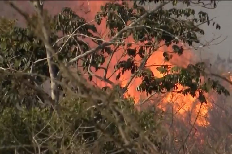 Número de incêndios tem aumento de 1000% em Vitória da Conquista