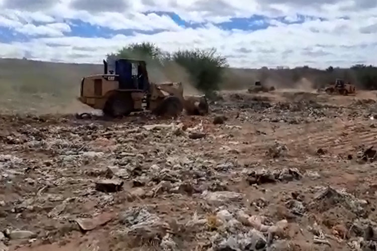 Prefeitura de Malhada de Pedras transforma antigo lixão em área ecológica com plantio de mudas nativas