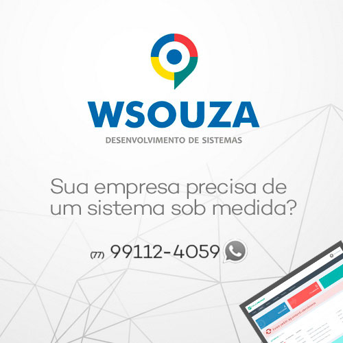 WSouza desenvolve sistemas sob medida para sua empresa