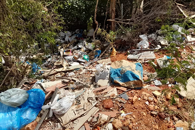 Brumado: Moradores reclamam de despejo irregular de lixo e desova de animais mortos