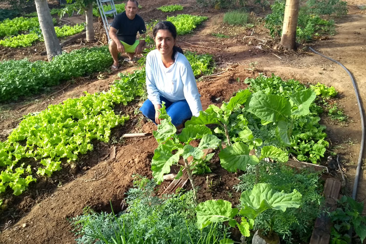 Brumado: Família produz gás para cozinha e adubo orgânico através de biodigestor