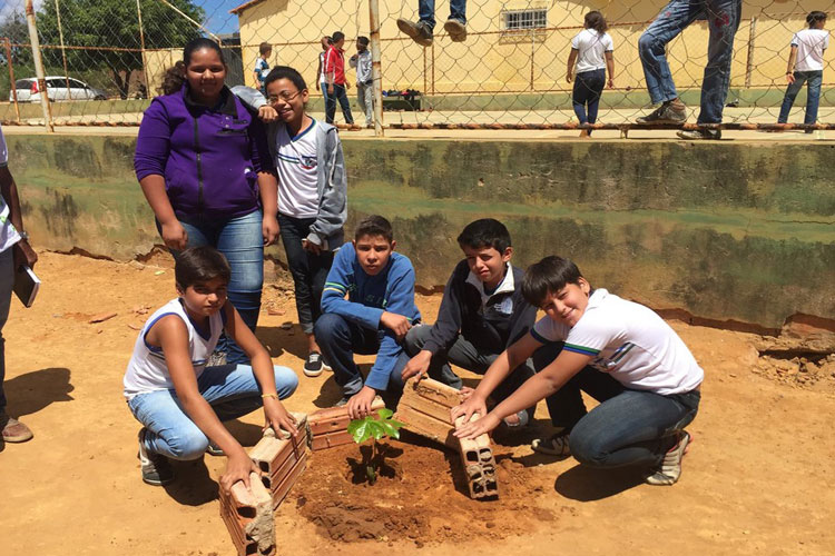 Governo de Caculé realiza ações com plantio de mudas nas escolas municipais