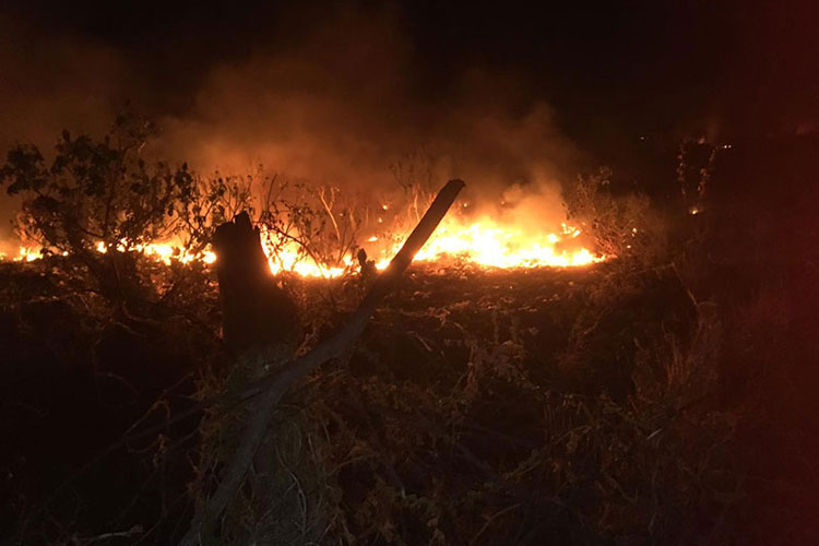 Lixão de Dom Basílio é atingido por incêndio e fumaça prejudica moradores