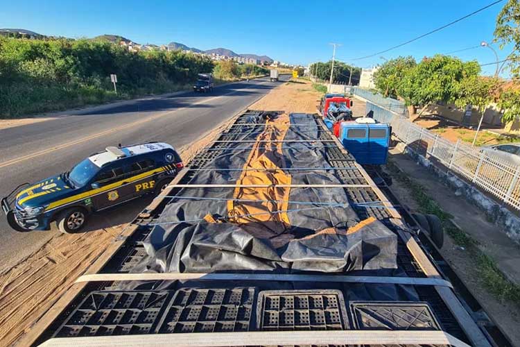 Apreensões de cigarros clandestinos crescem quase 300% em rodovias federais na Bahia