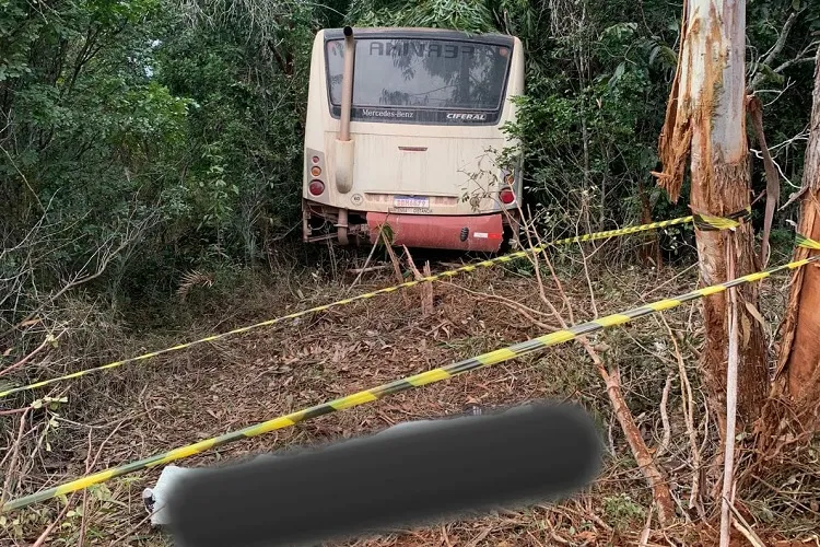Motorista de 32 anos é projetado para fora de ônibus e morre na BA-900 em Barra da Estiva