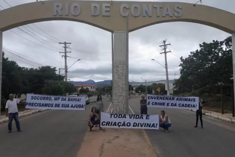 Rio de Contas: Animais continuam sendo envenenados e defensores registram queixa