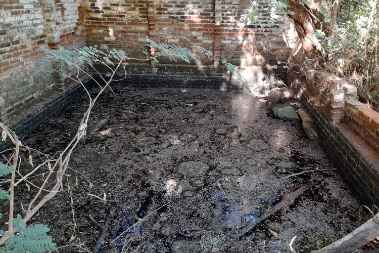 Em tempos de crise hídrica, nascente de água potável encontra-se abandonada em Brumado