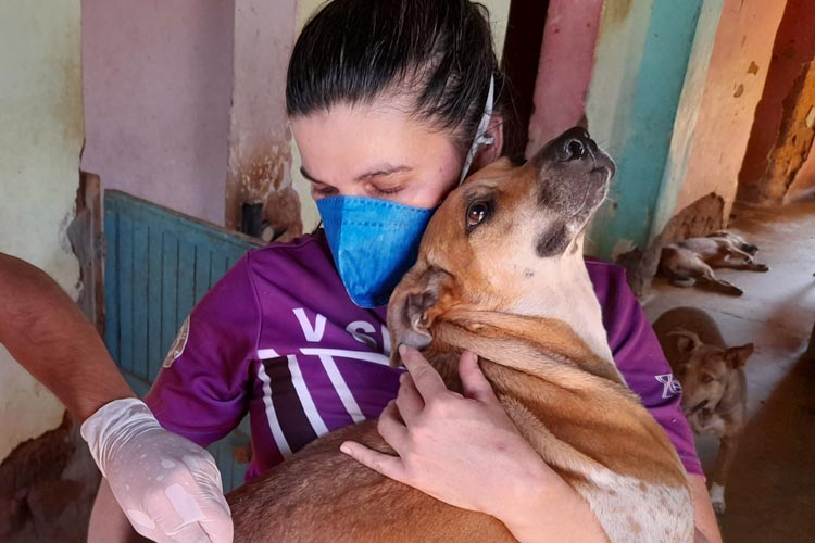 Brumado: ONG AuAu carece de ajuda voluntária para cuidar de cães retirados das ruas