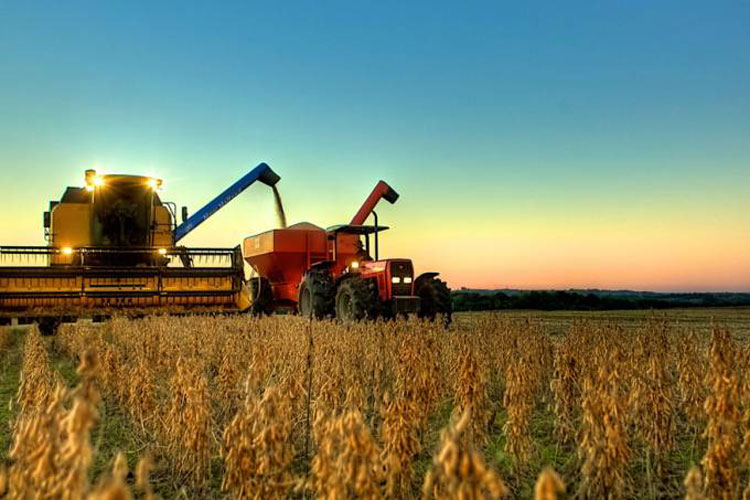 Safra de grãos deve ser recorde em 2019, com 239,8 mi de toneladas