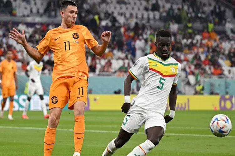 Holanda marca dois no final e vence Senegal em estreia na Copa do Mundo