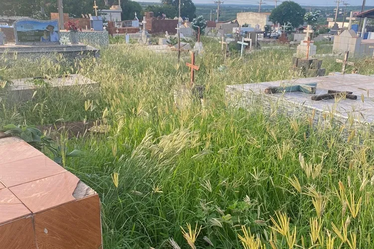 Caculé: Moradores denunciam completo abandono do cemitério municipal