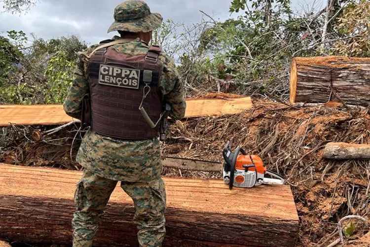 Polícia Ambiental apreende armas, drogas e motosserras em Ibicoara