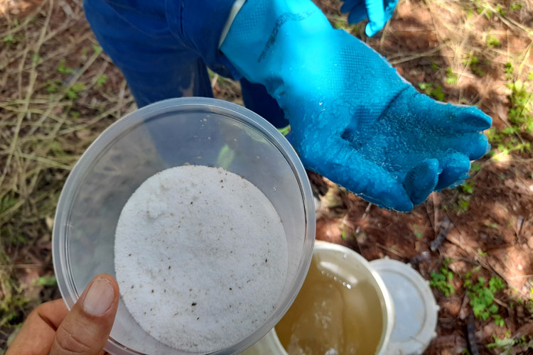 Brumado: RHI Magnesita utiliza hidrogel em projeto de reflorestamento na Serra das Éguas