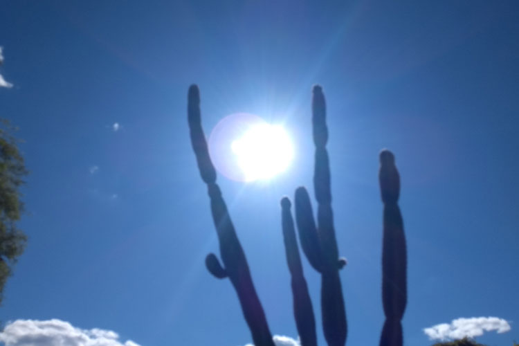 Brumado registra calor intenso nos últimos dias com sensação térmica de 44°C