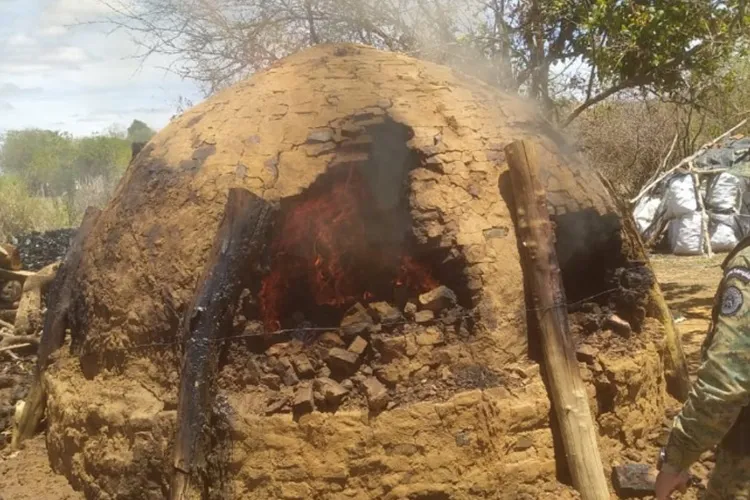 2,5 toneladas de carvão são apreendidas e forno é destruído em Sebastião Laranjeiras