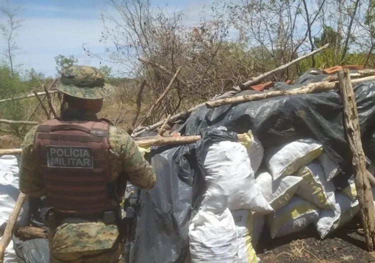 2,5 toneladas de carvão são apreendidas e forno é destruído em Sebastião Laranjeiras