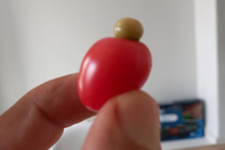 Brumado: Tomate plantado debaixo de cajueiro nasce em formato de caju