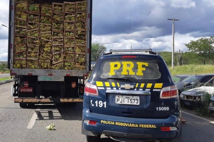 PRF apreende grande carga de cigarros contrabandeados na BR-116 na cidade de Jequié