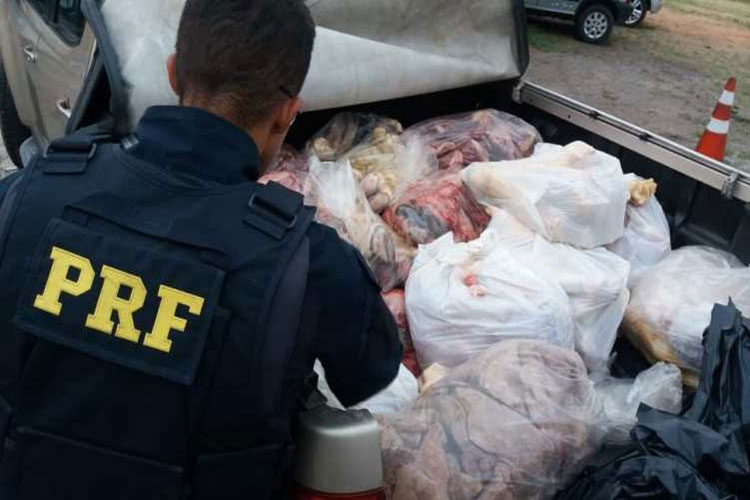 Sem refrigeração: Apreendidos 700 kg de carne transportados de forma irregular