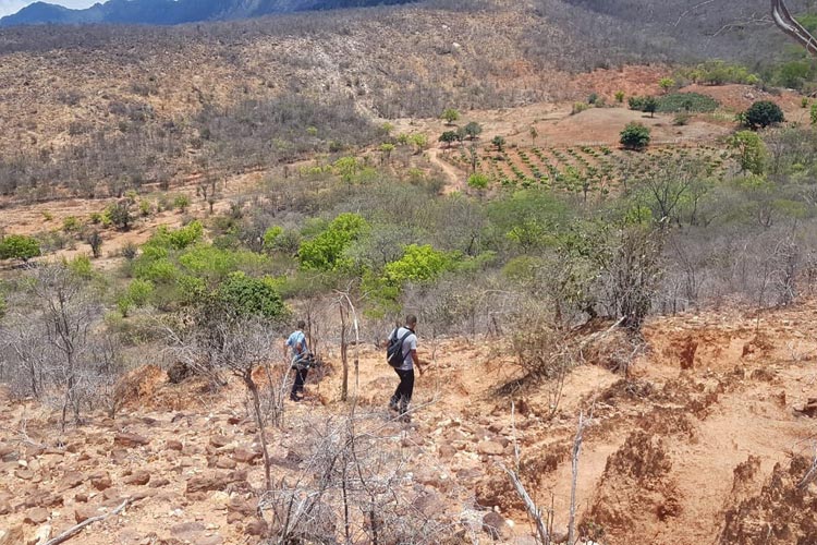 Incêndio florestal em Rio de Contas é controlado