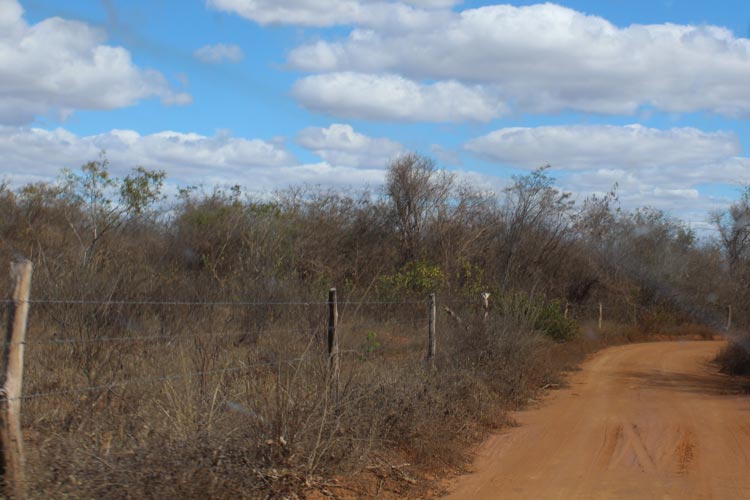 Mulher morre após receber descarga elétrica em cerca na zona rural de Igaporã