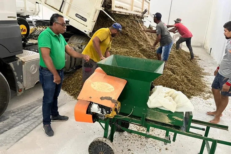 Seca: Guanambi já recebeu 80 toneladas de silagem para socorrer produtores rurais