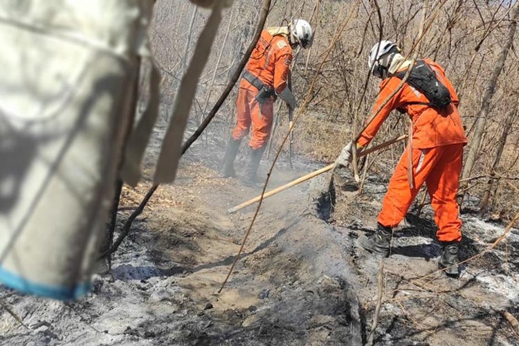 Quase um mês após início de chamas, incêndio florestal é extinto em Barra