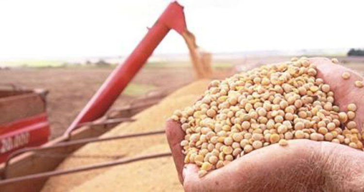Bahia deverá produzir 12,6 milhões de toneladas de grãos na safra 2022/2023
