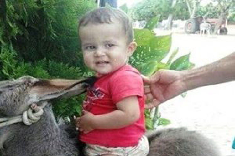 Carinhanha: Muro desaba e mata criança de dois anos que fazia tratamento de câncer