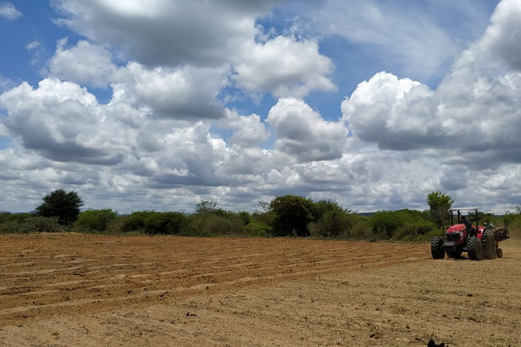 Plantadeira de mandioca fortalece produção da agricultura familiar em Condeúba