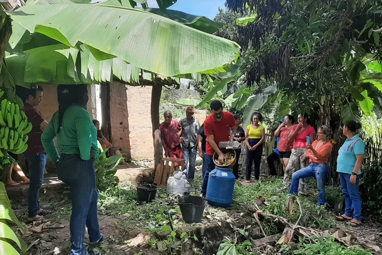 Seminário de agroecologia assiste 540 famílias da cadeia produtiva na Bacia do Paramirim